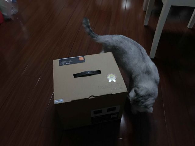 123.jpg